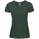 Women's slim T Standard Sleeve Tees