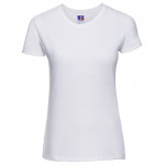 Women's slim T Standard Sleeve Tees