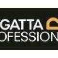 Regatta Professional